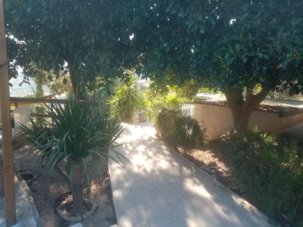 Castel di Iudica "San Placido Green House" Villa Con Piscina מראה חיצוני תמונה