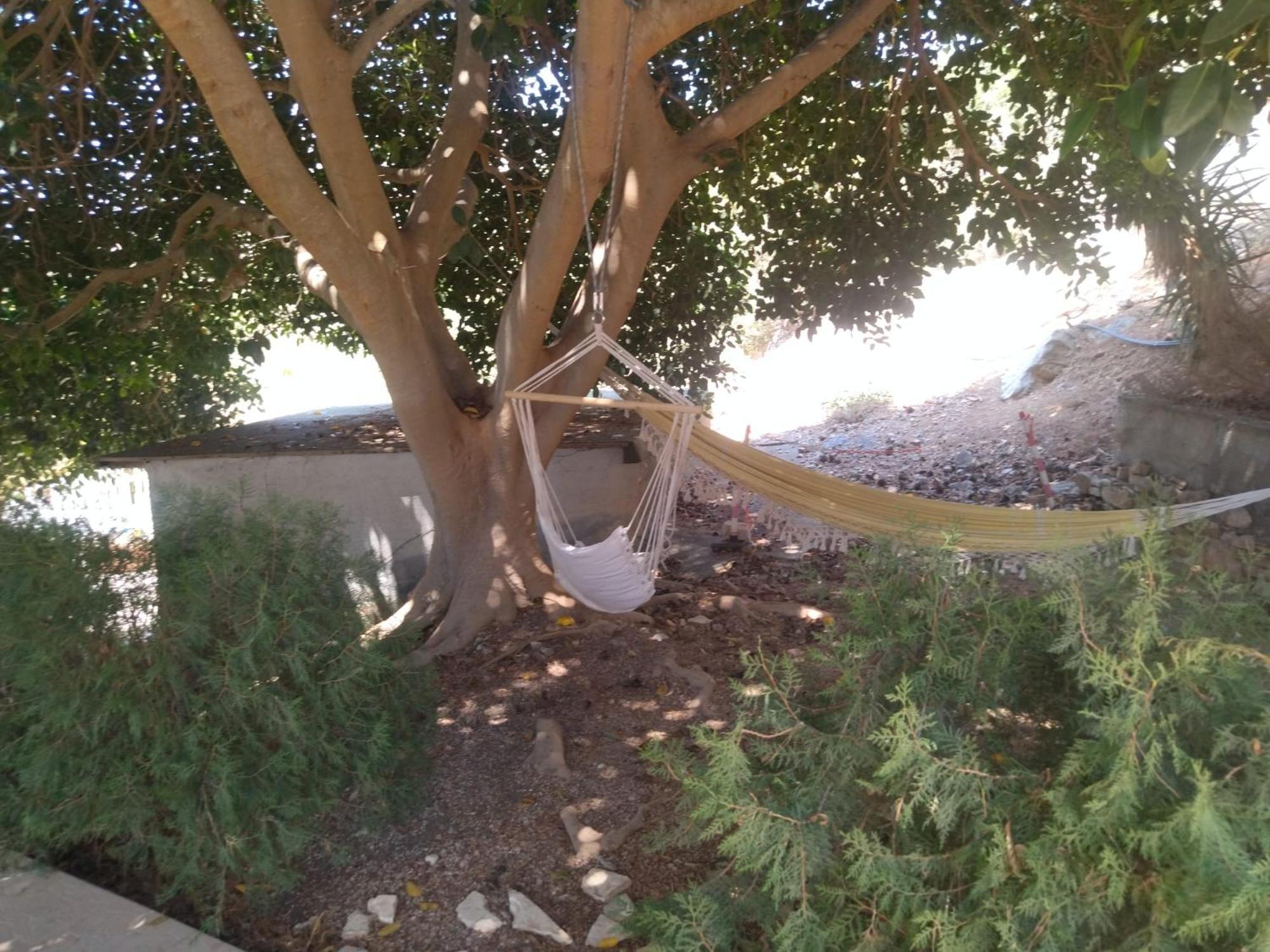 Castel di Iudica "San Placido Green House" Villa Con Piscina מראה חיצוני תמונה
