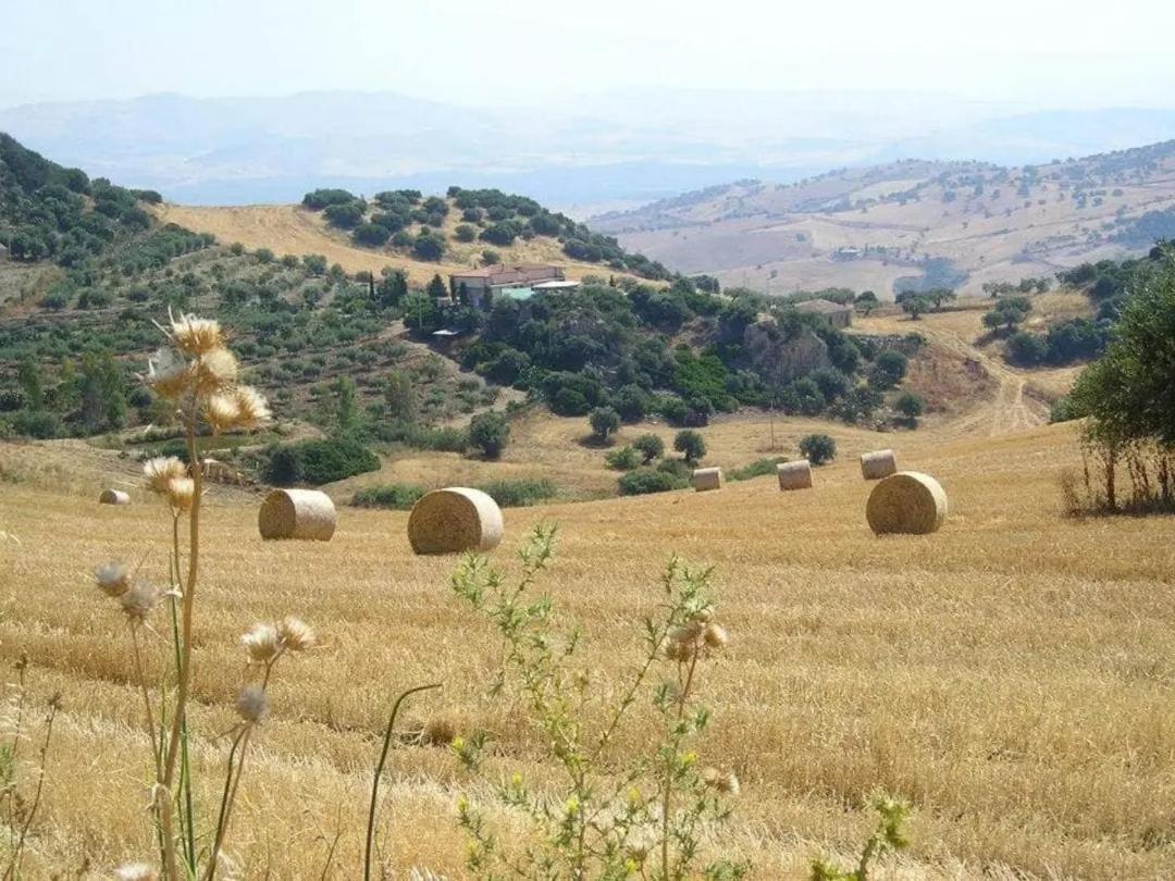Castel di Iudica "San Placido Green House" Villa Con Piscina מראה חיצוני תמונה